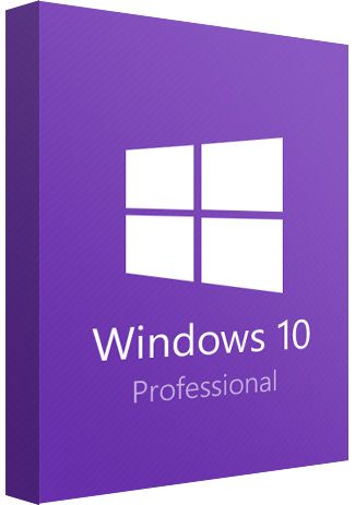 Microsoft Windows 10 Professional